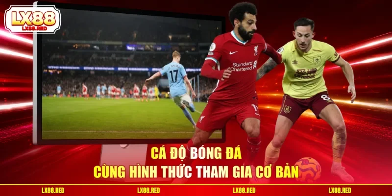 Cá độ bóng đá cùng hình thức tham gia cơ bản 