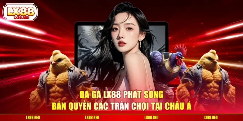 Đá gà LX88 phát sóng bản quyền các trận chọi tại Châu Á